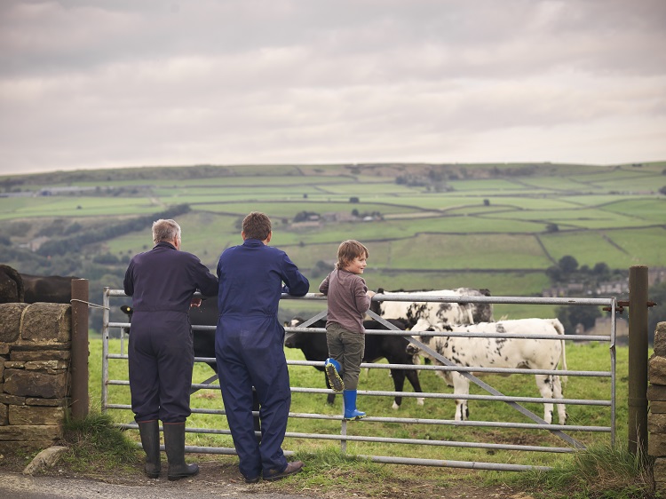 Is-cultured-meat-a-threat-or-opportunity-for-farmers?