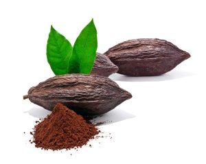 comment-nestle-rend-son-cacao-plus-tracable