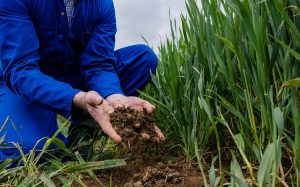 agriculture-a-long-terme:-l’agriculture-regenerative-aide-les-agriculteurs-a-penser-en-termes-de-durabilite