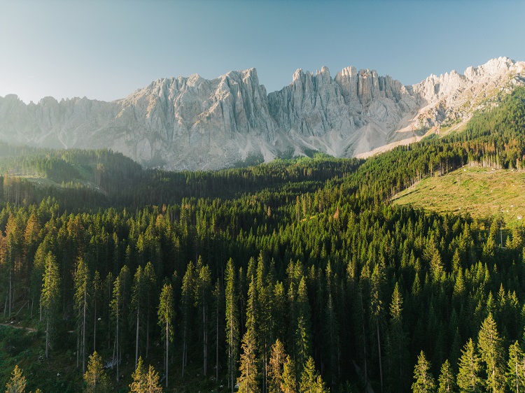 la-loi-europeenne-sur-la-restauration-de-la-nature-autorise-t-elle-l’agriculture-regenerative-?