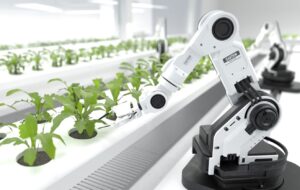 Food industry hesitant to embrace AI and digital due to 'risk aversion'