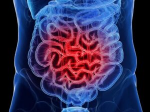 GLP-1 hormone, “miracle” molecule: it all starts in the intestine