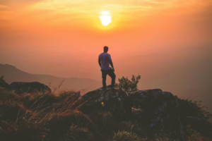 The Magic of Bryan Johnson