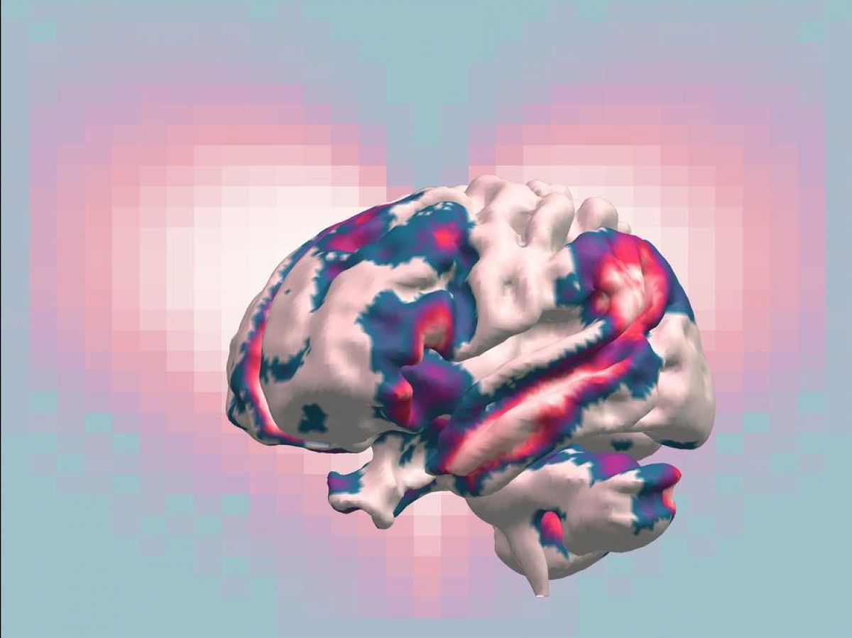 romantic, parental, friendly love: which one is stronger for our brain?