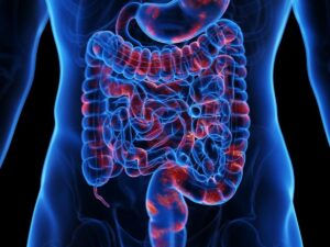 maladie-de-crohn-:-une-nouvelle-bacterie-ouvre-des-perspectives-de-traitements