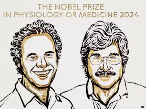 le-prix-nobel-de-medecine-2024-est-decerne-a-victor-ambros-et-gary-ruvkun