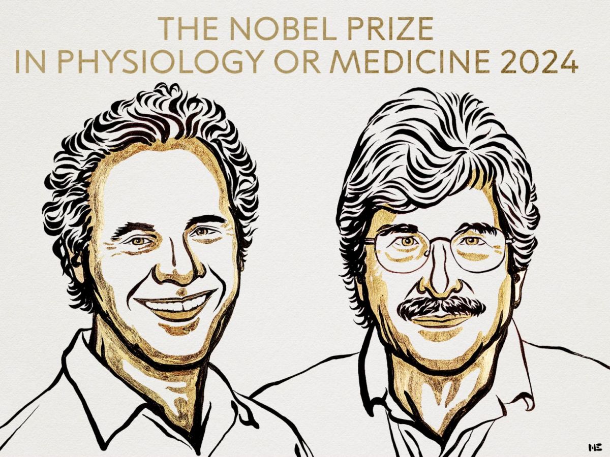 le-prix-nobel-de-medecine-2024-est-decerne-a-victor-ambros-et-gary-ruvkun