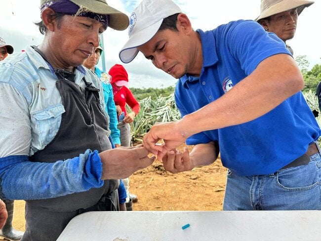 L’OPS décerne au Costa Rica le titre de Champion du paludisme dans les Amériques 2024