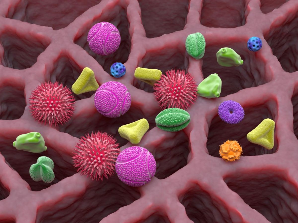 asthma-and-allergy-:-a-story-of-fungi-in-the-nose