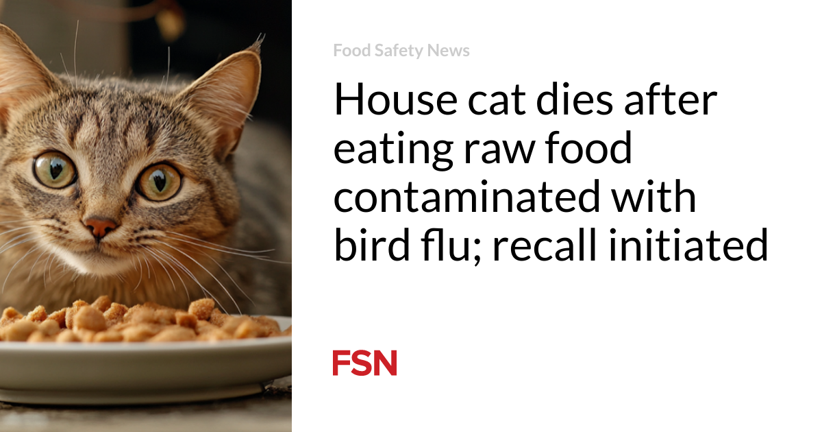 Domestic cat dies after eating raw food contaminated with bird flu; recall issued