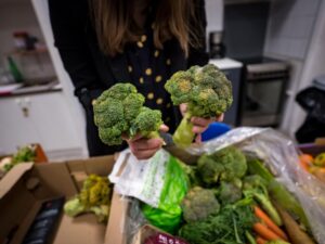 scurvy, an ancient disease, reborn from food insecurity in france