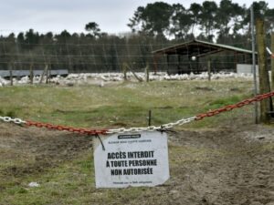 an outbreak of “highly pathogenic” bird flu detected in a farm in Eure