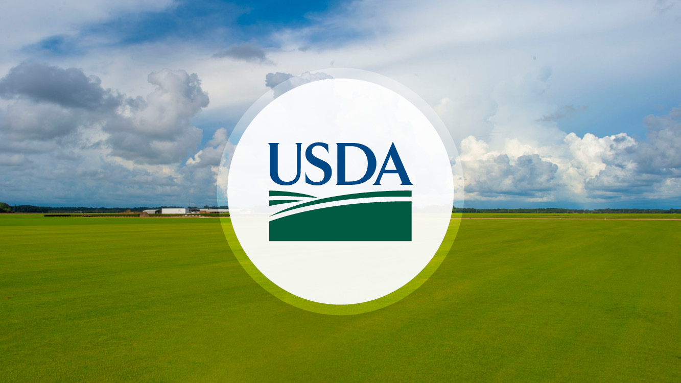 USDA Announces D-SNAP Approval for Kentucky Disaster Areas