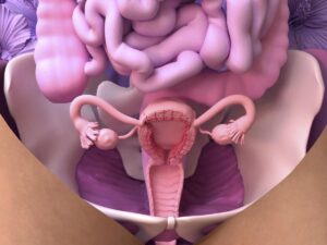 infertility: the trail of fallopian tube organoids