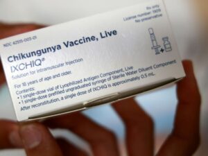 chikungunya-in-reunion:-"generalized-and-major-epidemic",-which-continues-to-progress