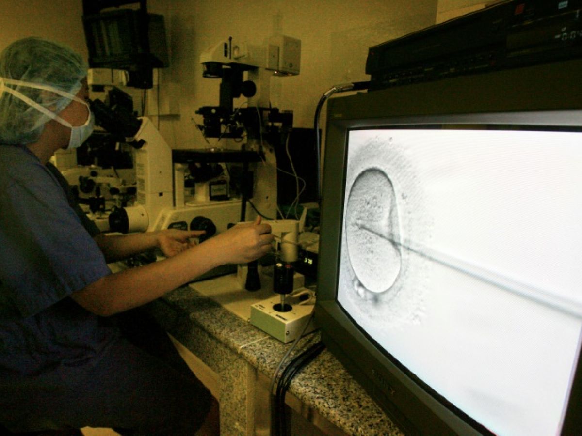 australie:-une-clinique-de-fecondation-in-vitro-admet-s’etre-trompee-d’embryon