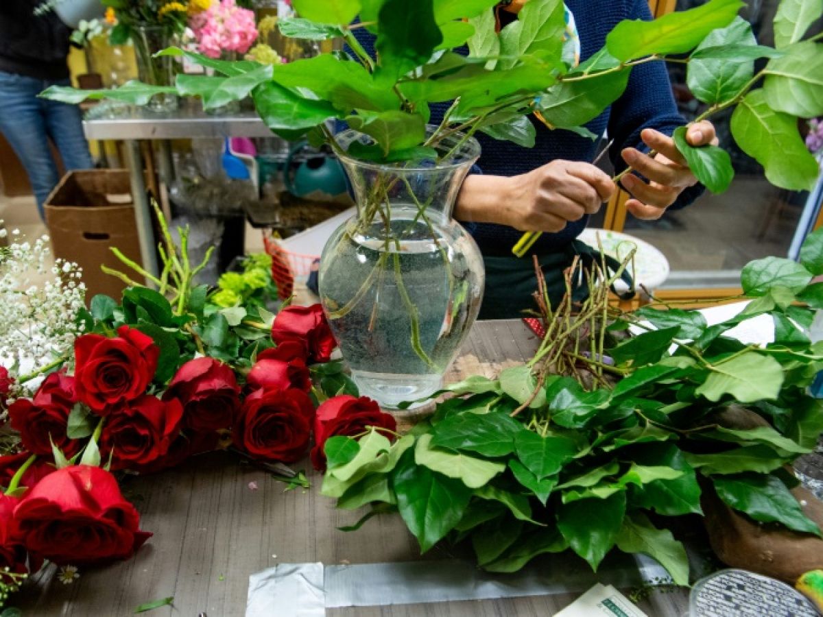 deces-d’une-fillette-liee-aux-pesticides-:-la-famille-se-pourvoit-en-cassation