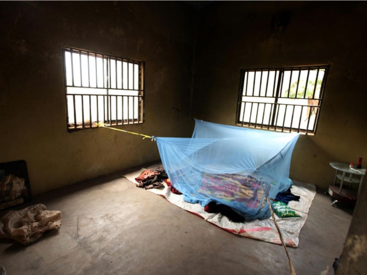 the dismantling of USAID, a disaster for health in Africa