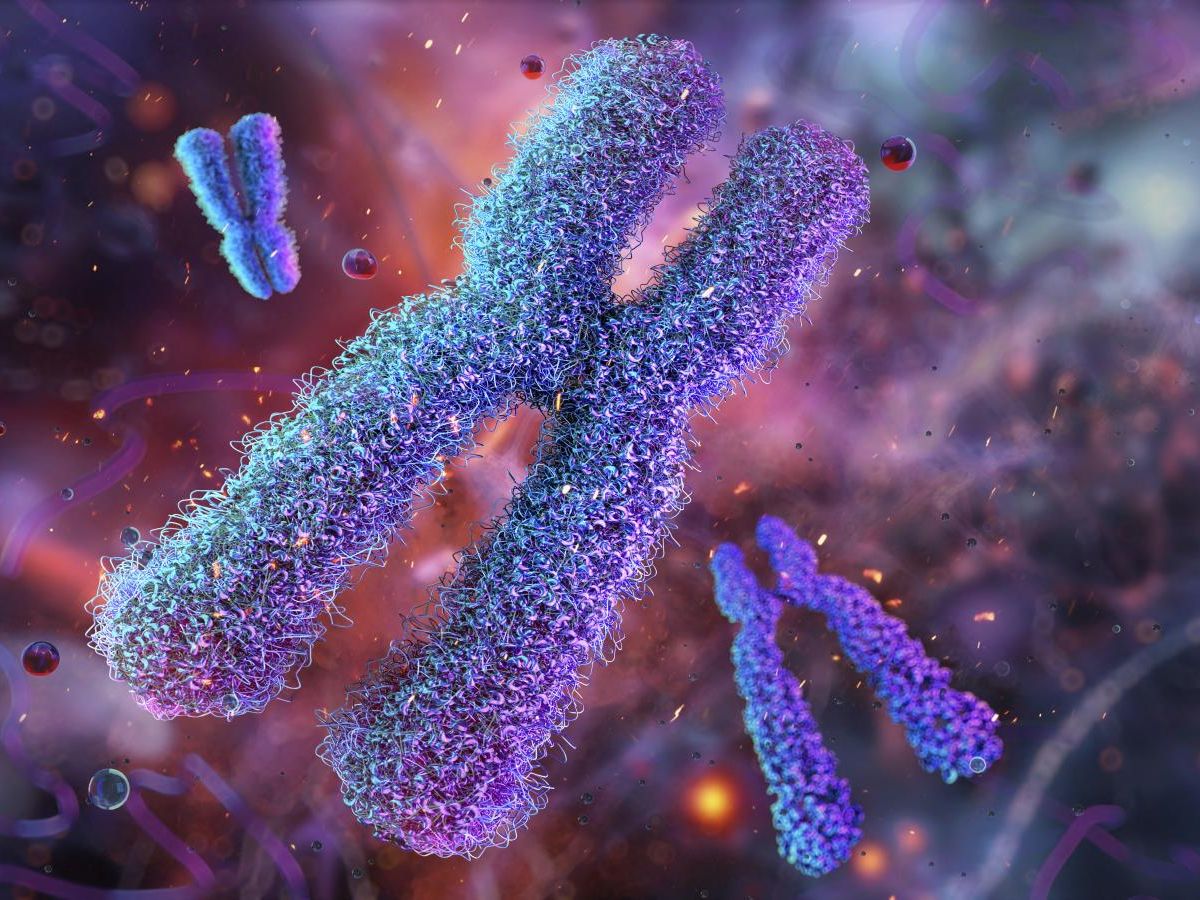 we could know a person's life expectancy from birth