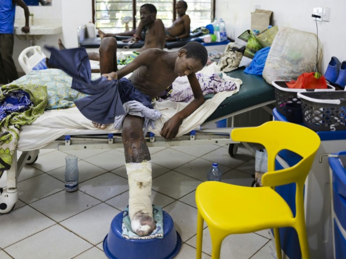 Kenya seeks antivenom against the scourge of snakebites