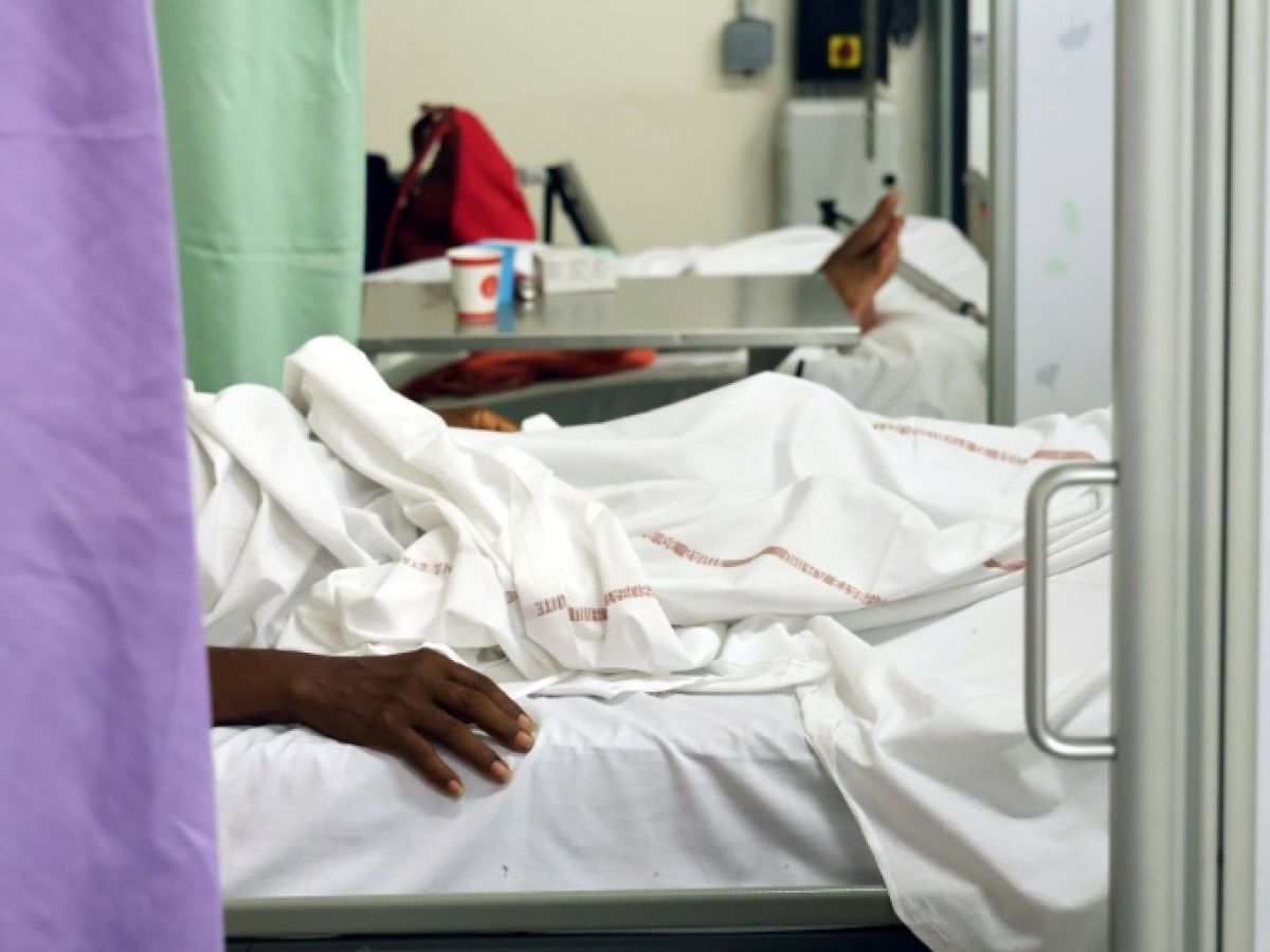 Reunion Island: 12 deaths "linked to chikungunya" since the beginning of the year, according to Public Health France
