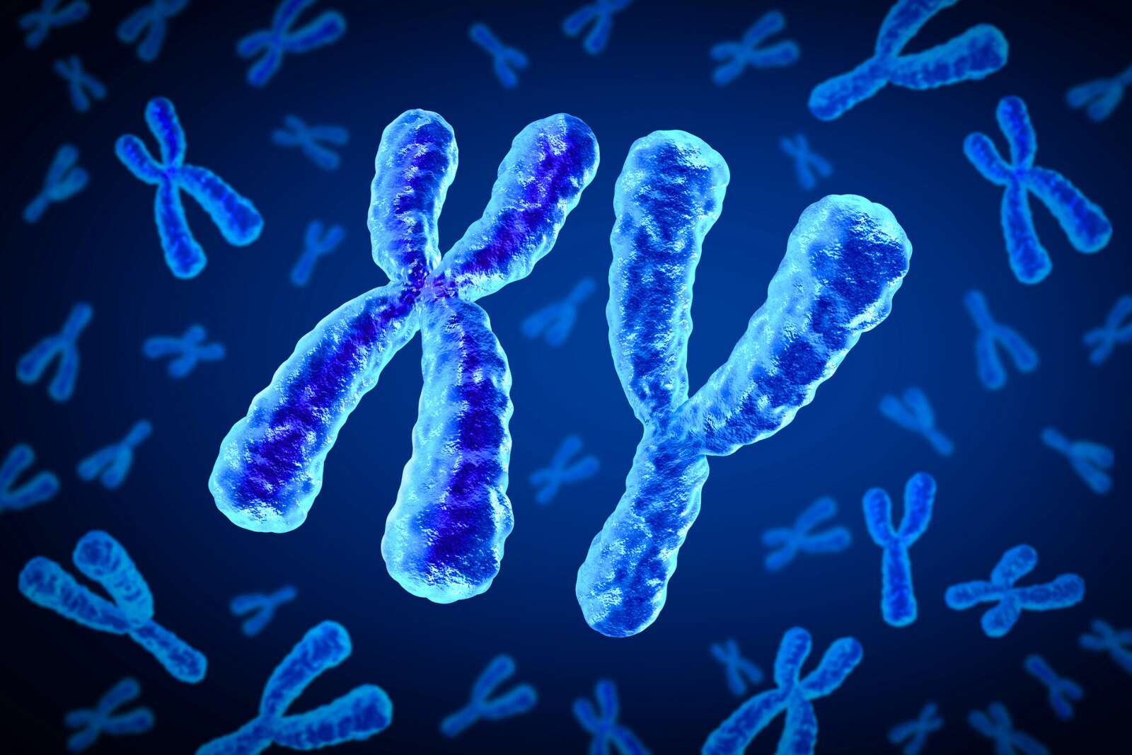 menace-sur-le-chromosome-y-:-ce-nouveau-gene-pourrait-faconner-l’avenir-des-hommes