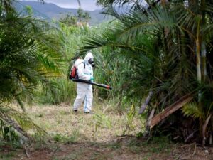la-reunion:-cinq-nouveaux-deces-imputes-au-chikungunya-malgre-une-epidemie-en-decrue