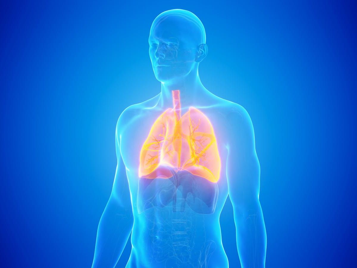 asco-2025.-lung-cancer-:-early-immunotherapy-improves-survival