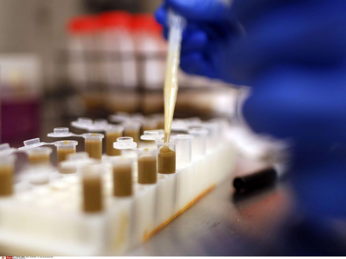 transplantation-fecale-:-des-risques-pour-la-sante-?