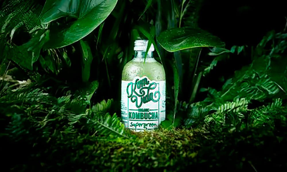Kombucha: ¿Por qué seguir consumiéndola a largo plazo? Beneficios probados y consejos para mantener el hábito