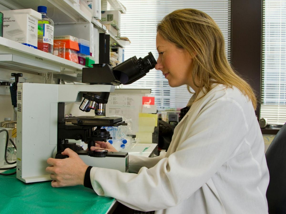 des-patchs-indolores-composes-de-nano-aiguilles-pour-remplacer-les-biopsies