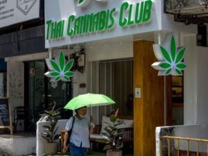 Thailand: Cannabis Pros Worried After Government Announcement of Crackdown