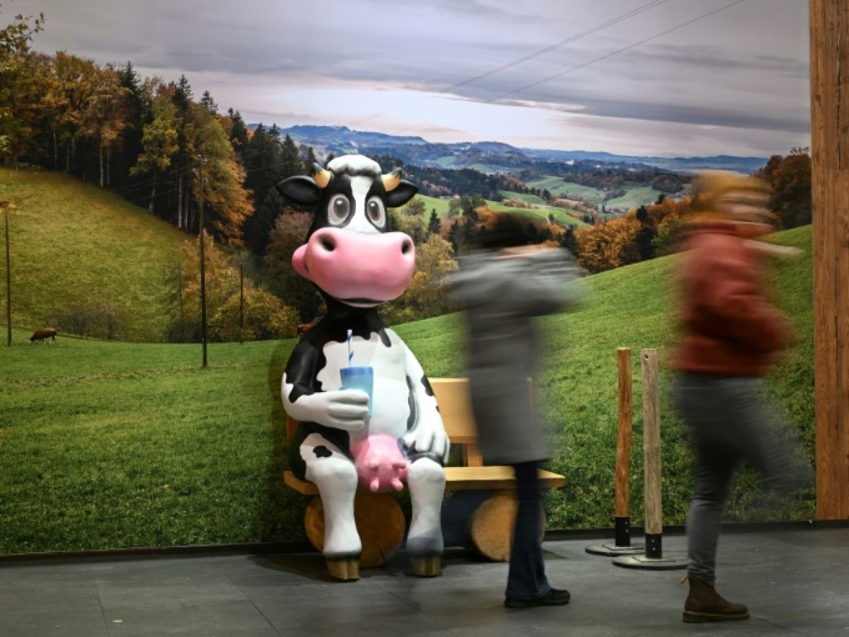 fromage-le-soir,-nuit-de-cauchemars-?