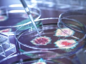 origines-du-covid-19-:-comment-le-projet-defuse-a-nourri-la-theorie-d’un-virus-sorti-de-laboratoire