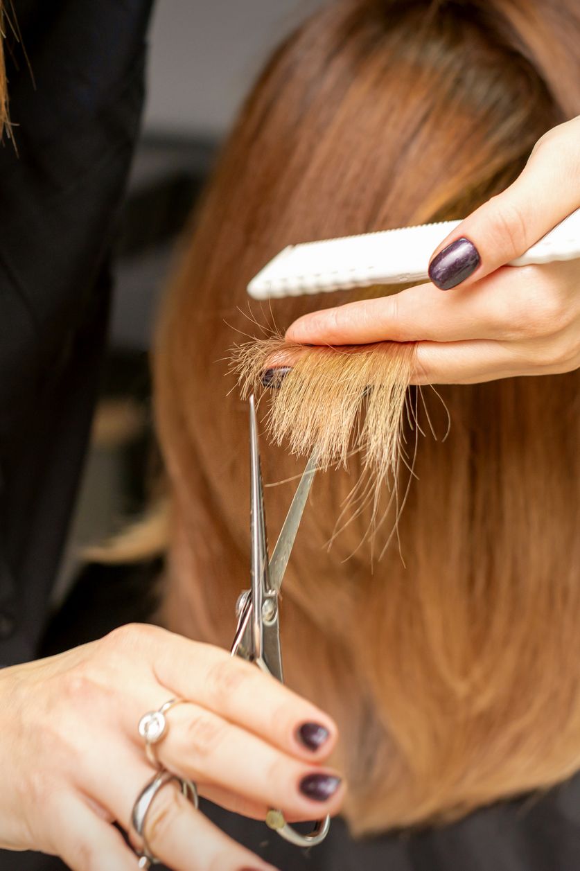 Adios to the classic bob: the corte “shag chic” of the volume, style and freshness from the 50s (and you are more young)