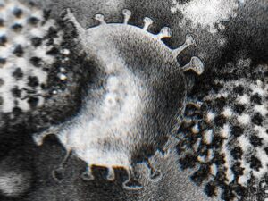origines-du-covid-19-:-animal,-laboratoire-ou-aliments-surgeles,-les-trois-recits-vus-par-la-science