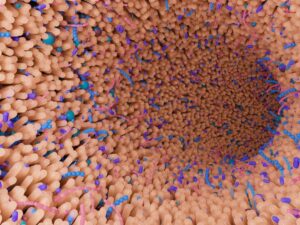 les-grandes-decouvertes-:-au-debut-des-annees-2000,-l’avenement-du-microbiote