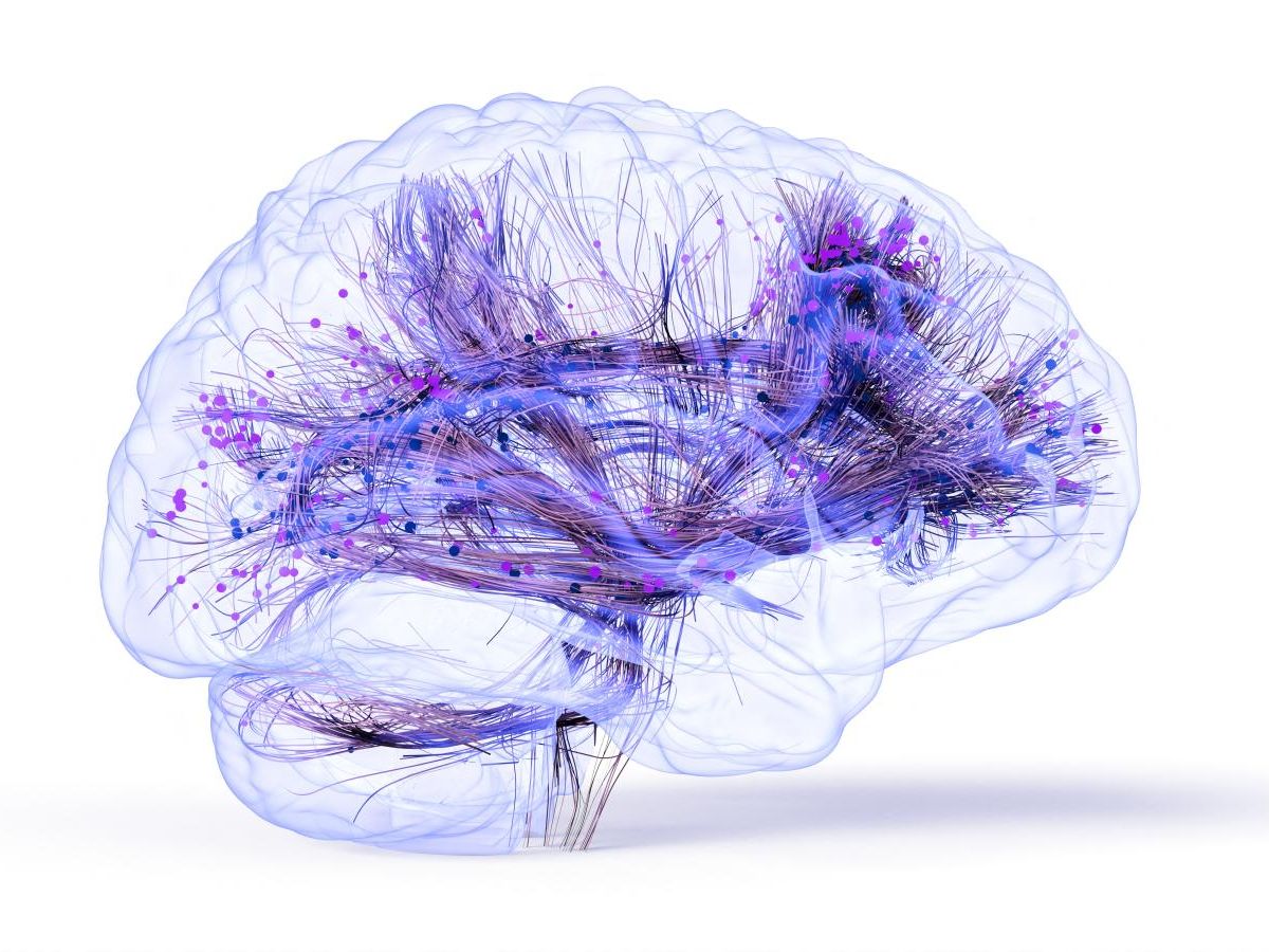 des-defauts-energetiques-seraient-une-des-causes-de-la-maladie-d’alzheimer