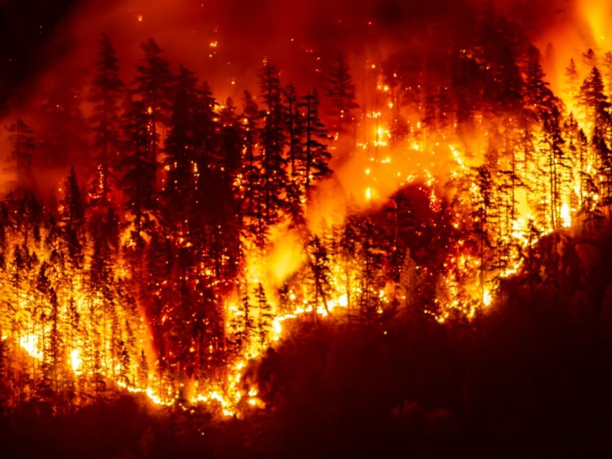 les-feux-de-foret-deteriorent-la-qualite-de-l’air-a-des-milliers-de-kilometres,-selon-l’onu