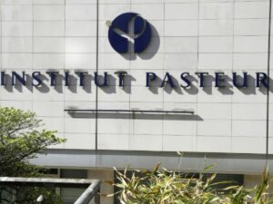 cancers-colorectaux-chez-les-jeunes:-le-microbiote-intestinal-scrute-a-l’institut-pasteur