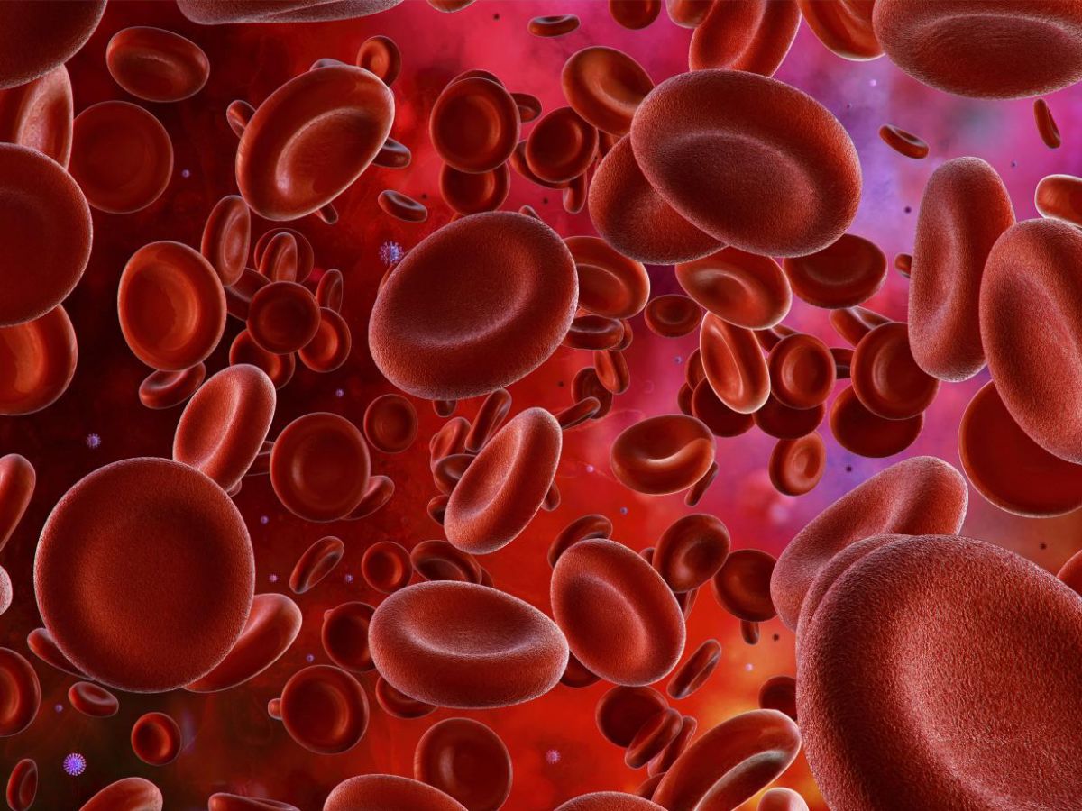 hemophilia-b-cured-by-gene-therapy