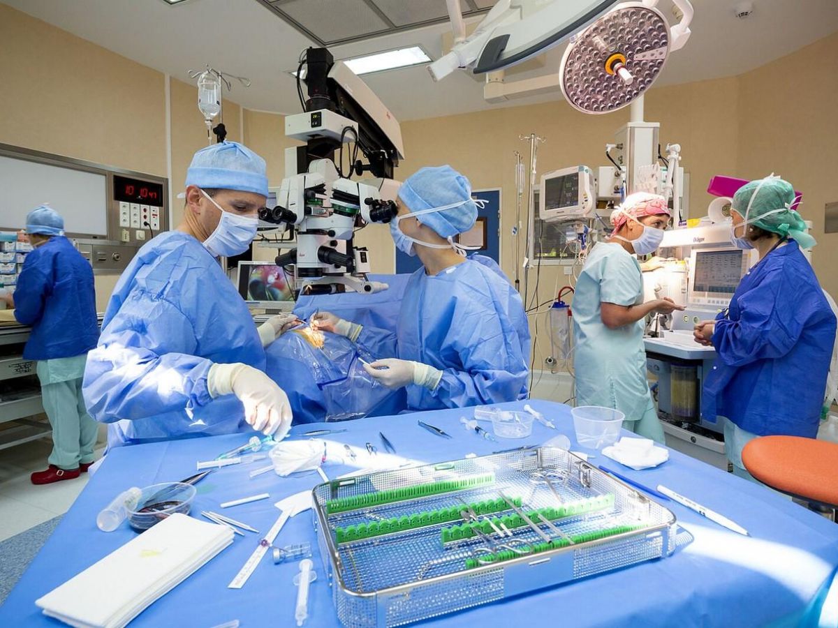 regaining sight thanks to a piece of tooth: an exceptional operation carried out in Montpellier