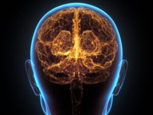 a-quel-age-notre-cerveau-est-il-au-sommet-de-ses-capacites-?
