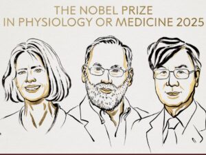 le-prix-nobel-de-medecine-2025-est-attribue-a-mary-brunkow,-fred-ramsdell-et-shimon-sakaguchi