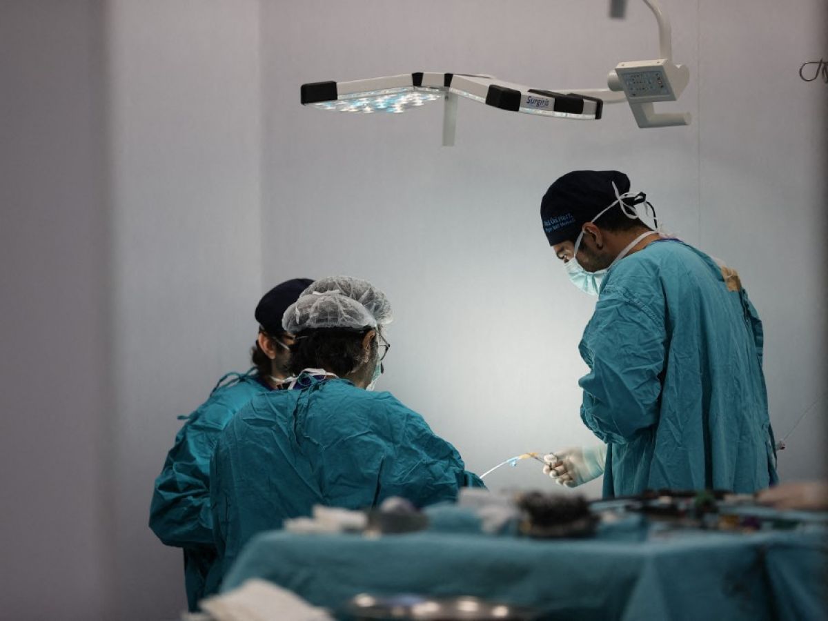 transplant-:-towards-the-use-of-universal-organs