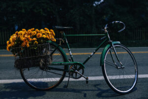 This is Why you Visit Bell Buckle, TN, in the Fall