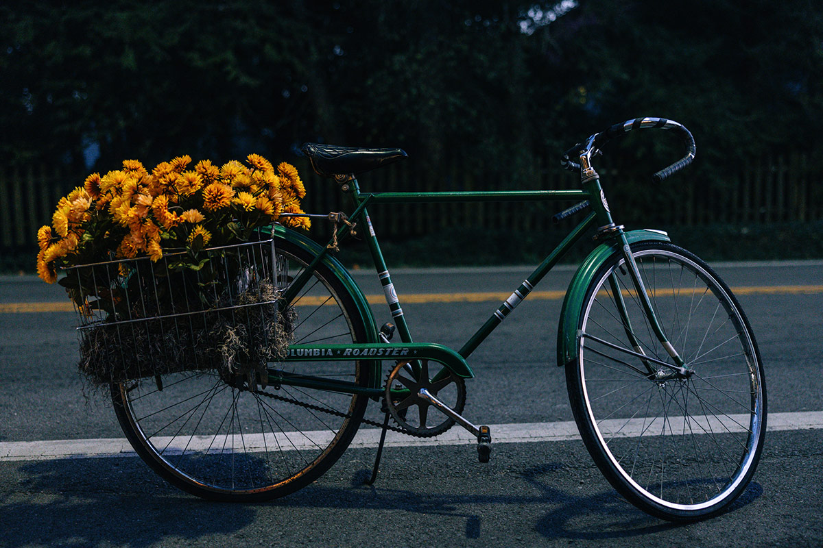 This is Why you Visit Bell Buckle, TN, in the Fall