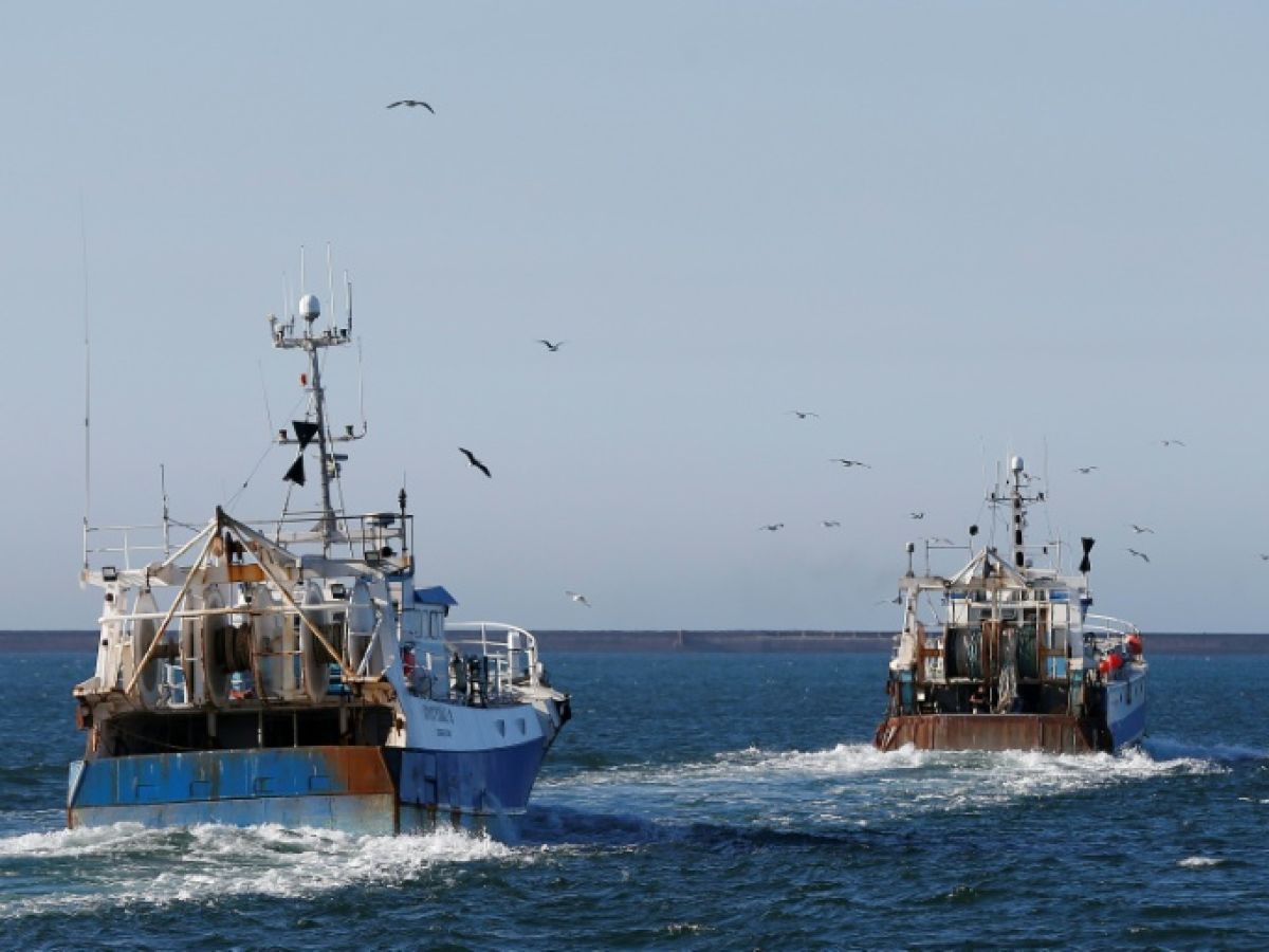 Fishing, cannabis and cocaine: in French ports, the poison of drugs