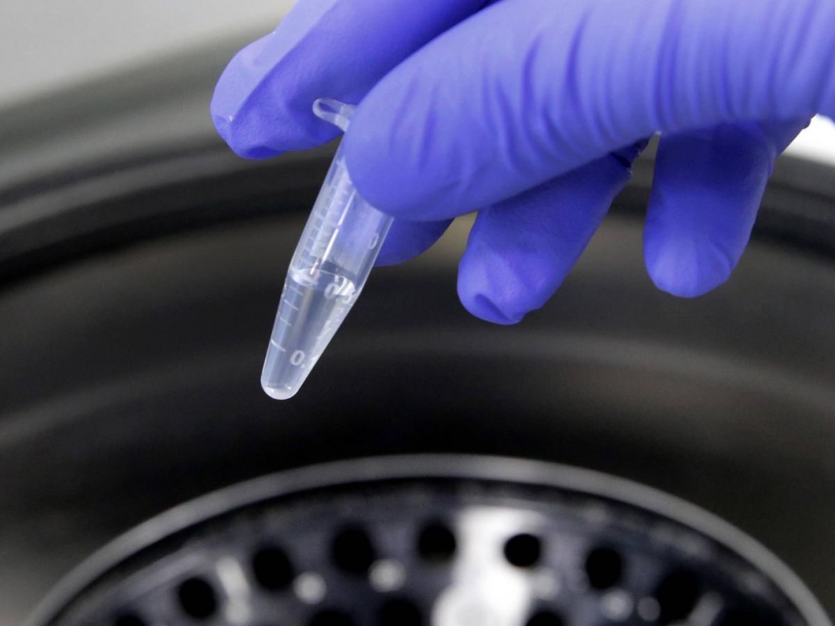 french-gut-kids-:-les-enfants-revelent-les-secrets-de-leur-microbiote-intestinal