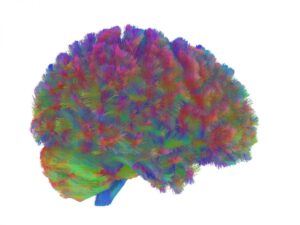 decouverte.-voici-les-cinq-ages-cles-de-notre-cerveau